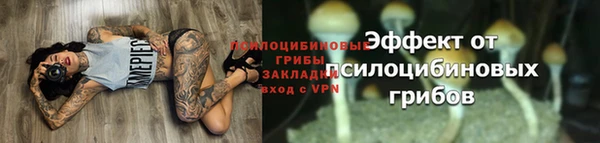 ПСИЛОЦИБИНОВЫЕ ГРИБЫ Балахна